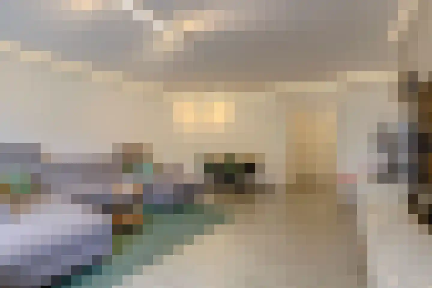 Frederik van Eedenplaats 13 Capelle aan den IJssel thumbnail 8