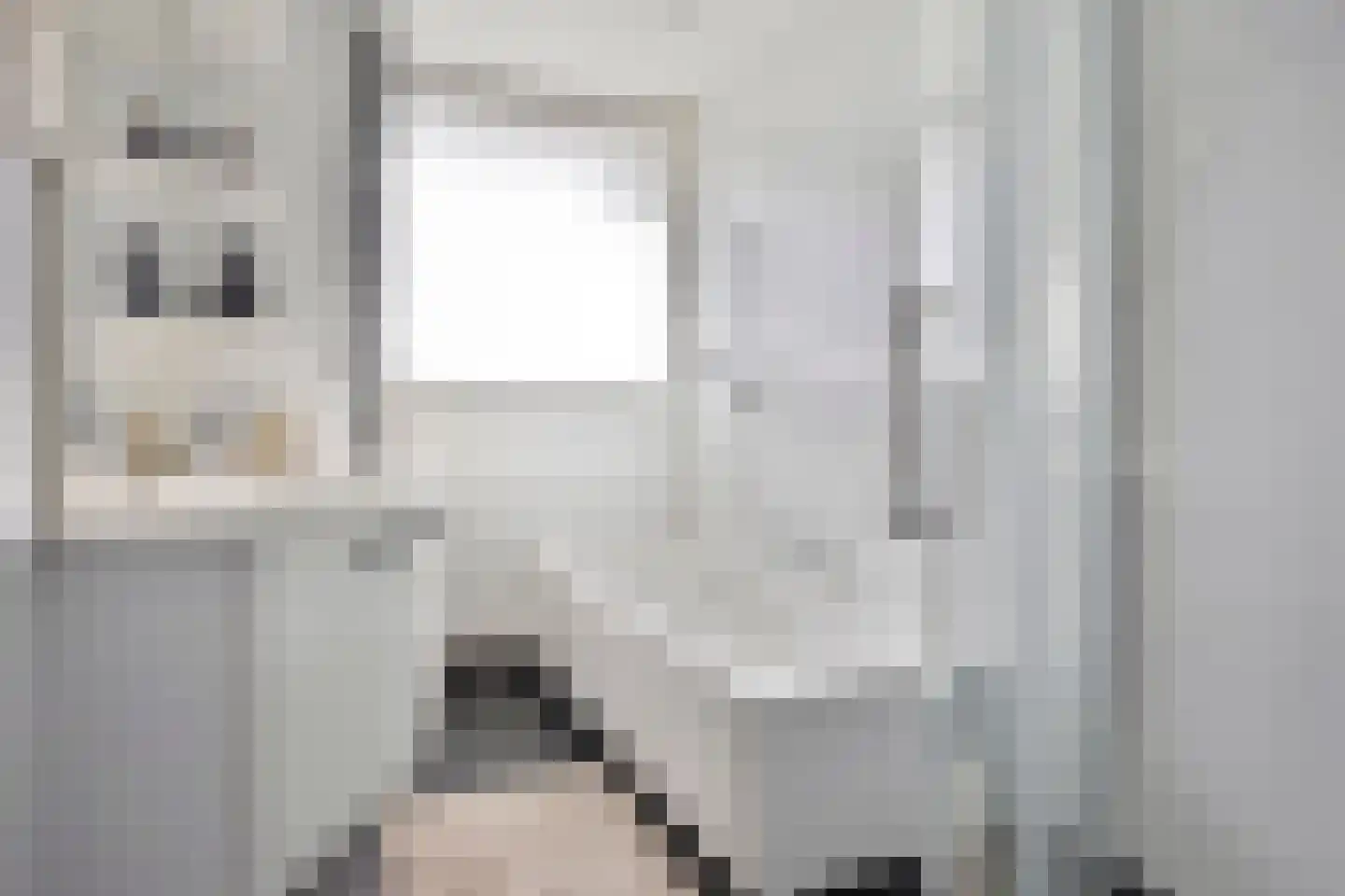Frederik van Eedenplaats 243 Capelle aan den IJssel thumbnail 11
