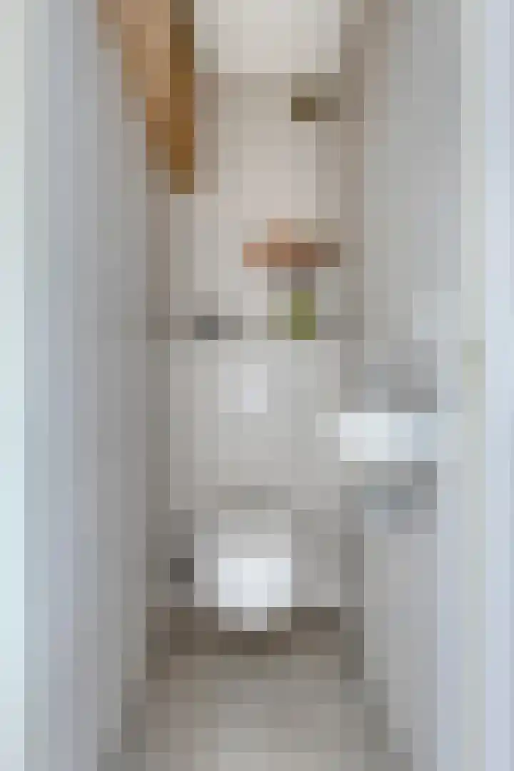 Frederik van Eedenplaats 269 Capelle aan den IJssel thumbnail 16