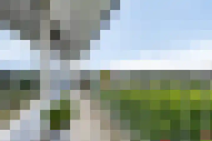 Frederik van Eedenplaats 269 Capelle aan den IJssel thumbnail 26