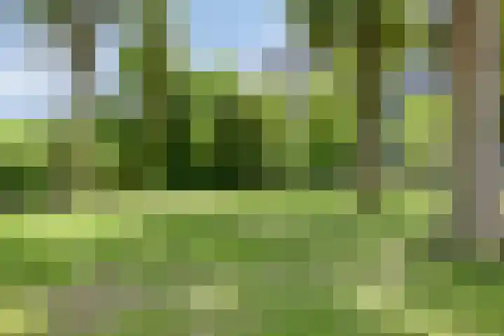 Frederik van Eedenplaats 269 Capelle aan den IJssel thumbnail 28