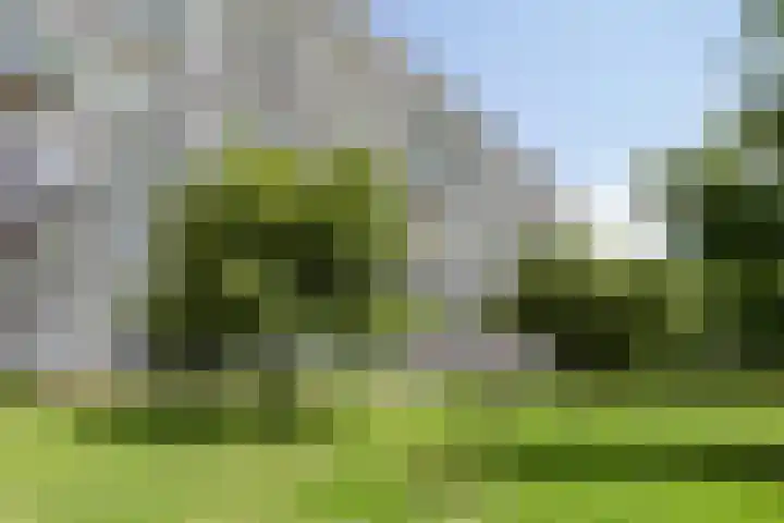 Frederik van Eedenplaats 269 Capelle aan den IJssel thumbnail 29