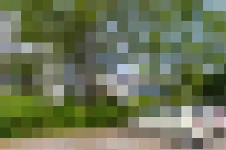 Frederik van Eedenplaats 269 Capelle aan den IJssel thumbnail 31