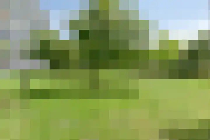 Frederik van Eedenplaats 269 Capelle aan den IJssel thumbnail 32
