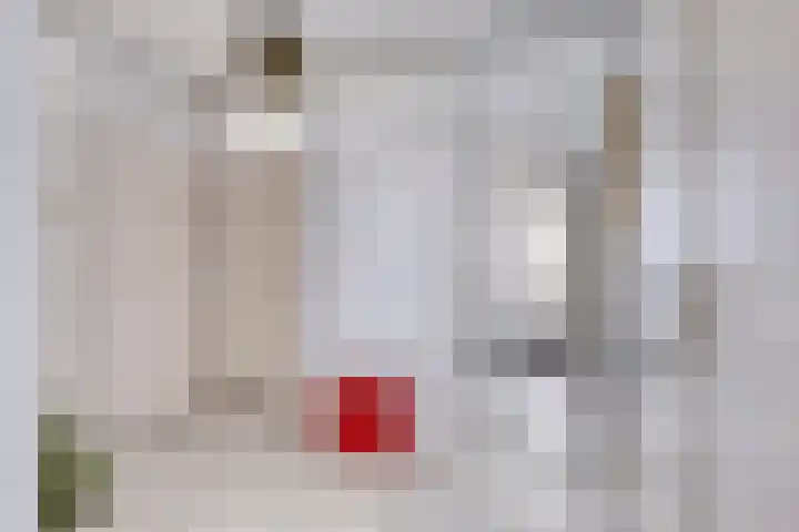 Frederik van Eedenplaats 269 Capelle aan den IJssel thumbnail 8