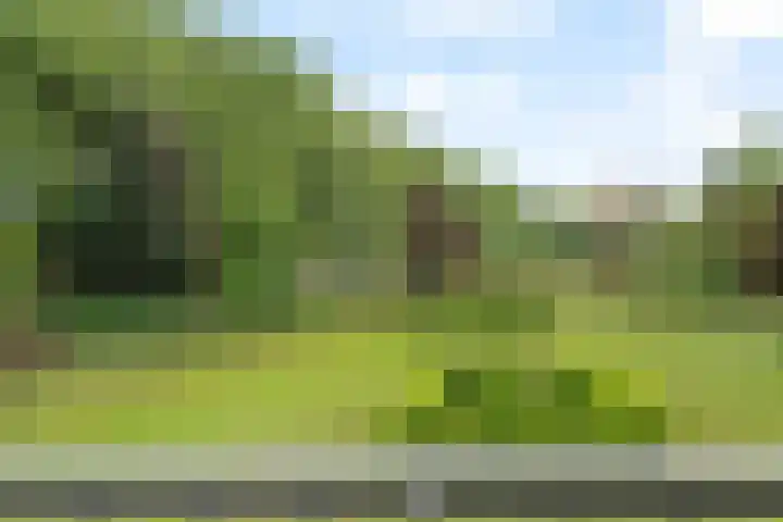 Frederik van Eedenplaats 3 Capelle aan den IJssel thumbnail 15