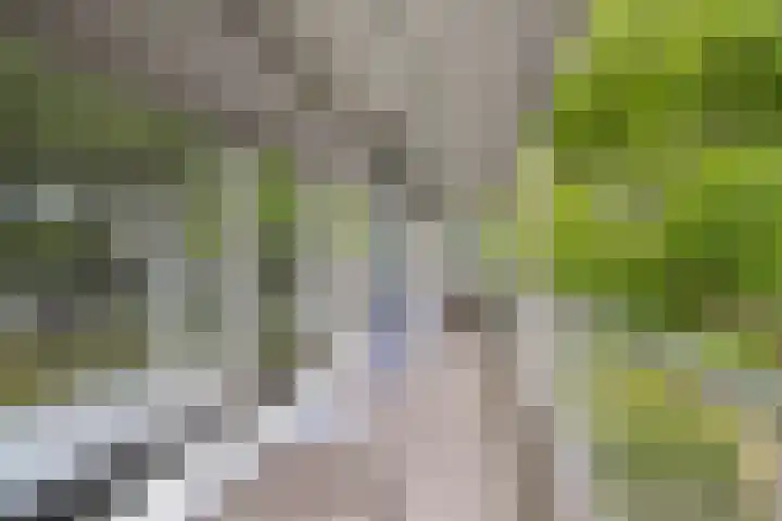 Frederik van Eedenplaats 3 Capelle aan den IJssel thumbnail 16