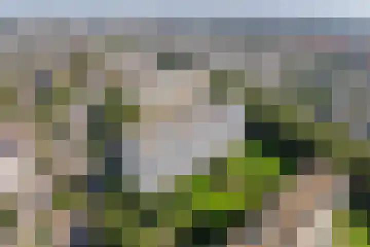 Frederik van Eedenplaats 3 Capelle aan den IJssel thumbnail 4