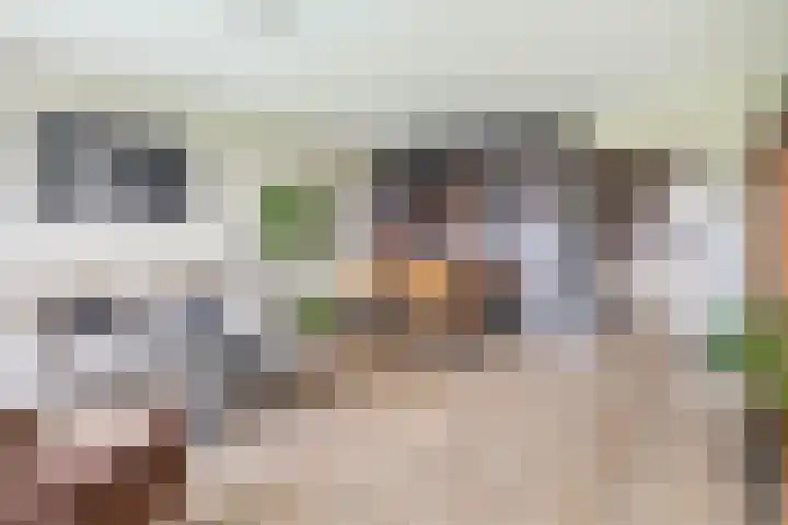 Frederik van Eedenplaats 5 Capelle aan den IJssel thumbnail 19