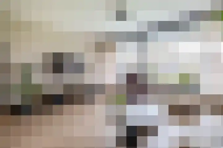 Frederik van Eedenplaats 5 Capelle aan den IJssel thumbnail 22