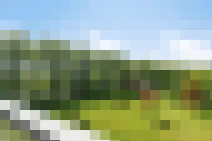 Frederik van Eedenplaats 57 Capelle aan den IJssel thumbnail 11