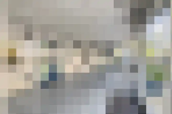 Frederik van Eedenplaats 57 Capelle aan den IJssel thumbnail 22