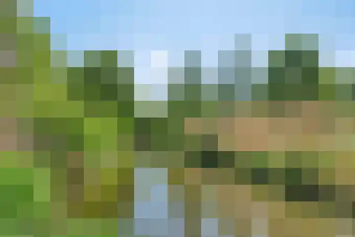 Frederik van Eedenplaats 57 Capelle aan den IJssel thumbnail 25