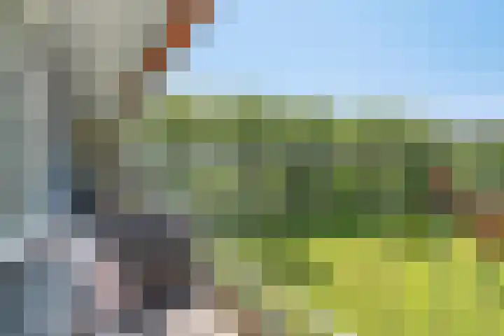 Frederik van Eedenplaats 57 Capelle aan den IJssel thumbnail 4