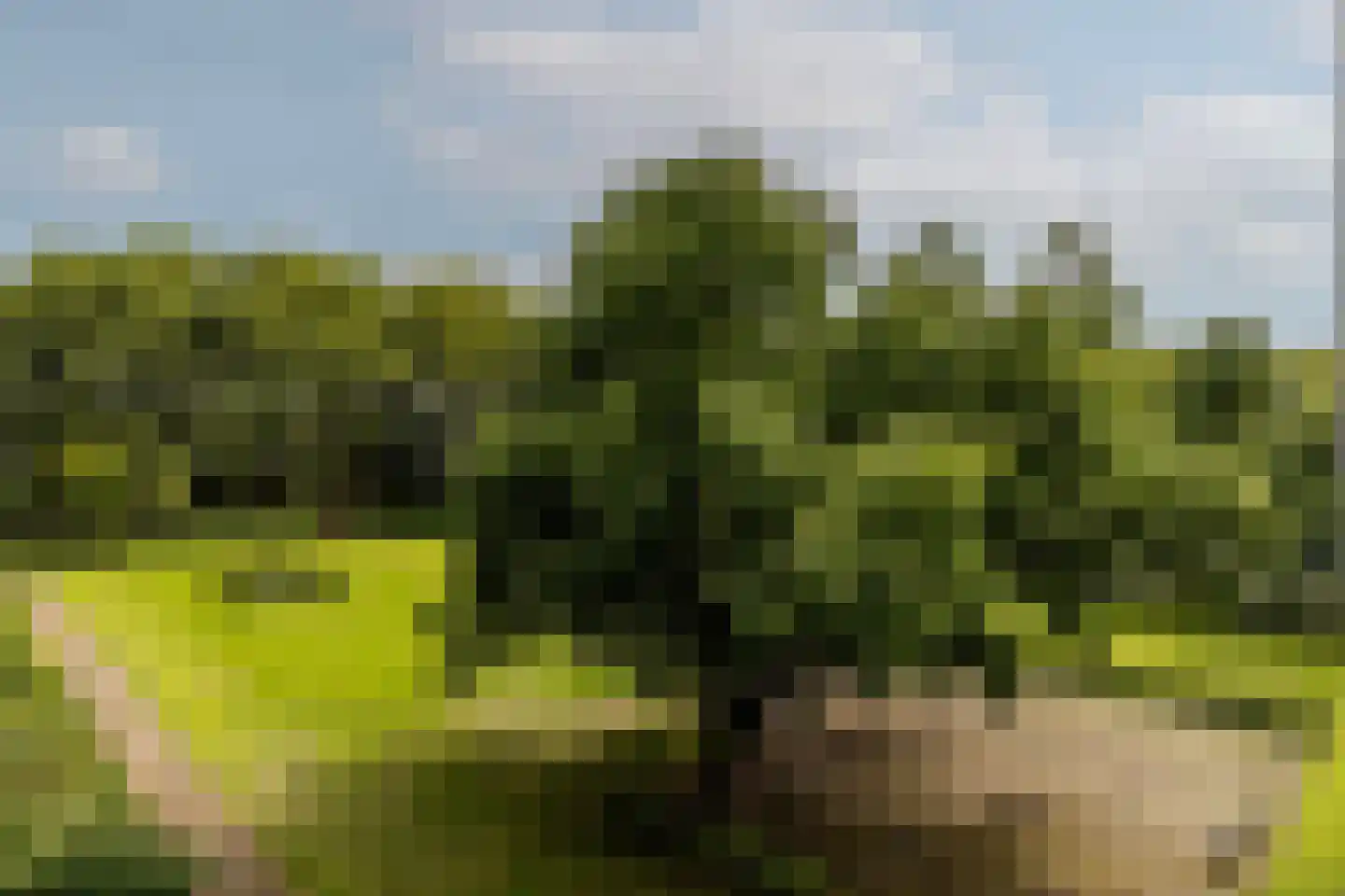 Frederik van Eedenplaats 63 Capelle aan den IJssel thumbnail 38