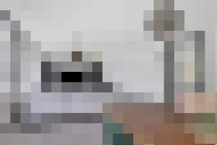 Frederik van Eedenplaats 73 Capelle aan den IJssel thumbnail 10