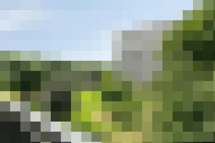 Frederik van Eedenplaats 73 Capelle aan den IJssel thumbnail 20