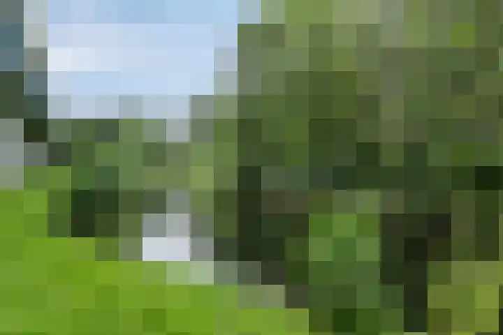 Frederik van Eedenplaats 73 Capelle aan den IJssel thumbnail 22