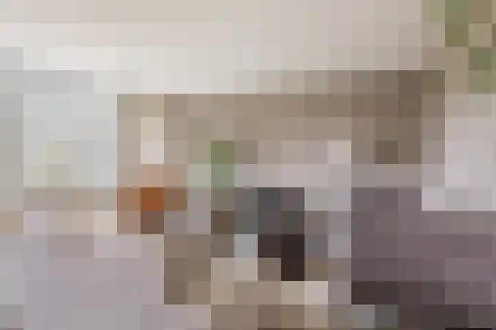 Frederik van Eedenplaats 83 Capelle aan den IJssel thumbnail 19