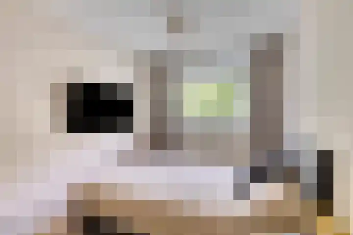 Frederik van Eedenplaats 85 Capelle aan den IJssel thumbnail 12