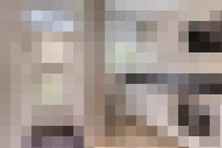 Frederik van Eedenplaats 85 Capelle aan den IJssel thumbnail 19