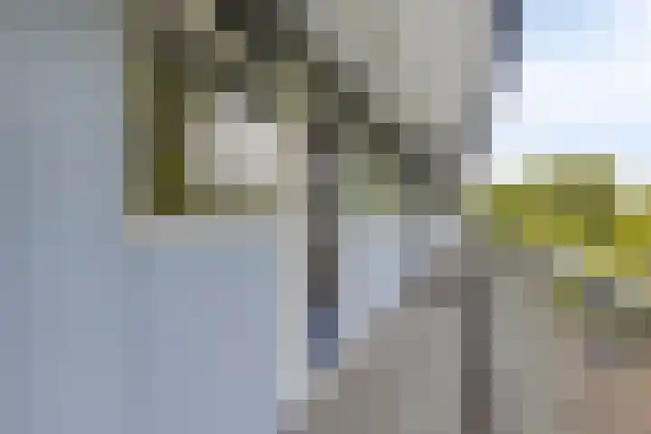 Frederik van Eedenplaats 85 Capelle aan den IJssel thumbnail 21