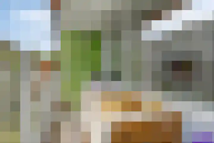 Frederik van Eedenplaats 85 Capelle aan den IJssel thumbnail 7