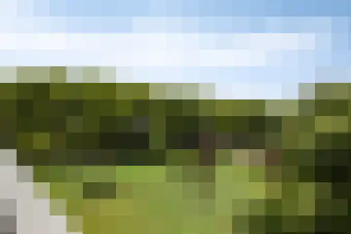 Frederik van Eedenplaats 85 Capelle aan den IJssel thumbnail 8