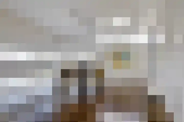 Frederik van Eedenplein 8 Eindhoven thumbnail 12
