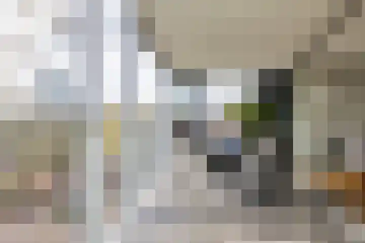 Frederik van Eedenplein 8 Eindhoven thumbnail 20
