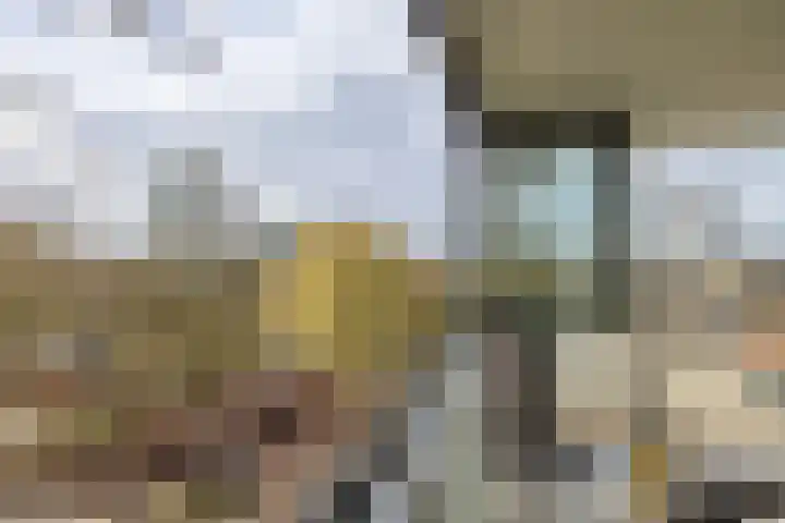 Frederik van Eedenplein 8 Eindhoven thumbnail 21