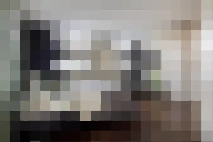 Frederik van Eedenplein 8 Eindhoven thumbnail 23