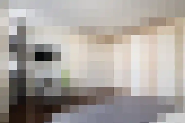 Frederik van Eedenplein 8 Eindhoven thumbnail 24