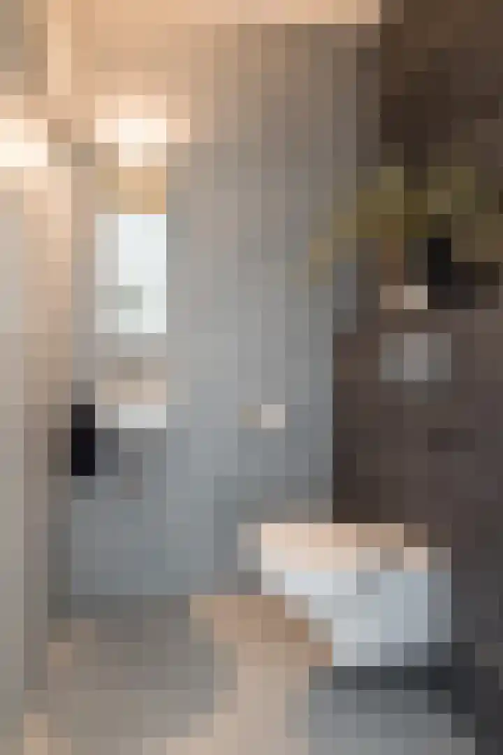 Frederik van Eedenplein 8 Eindhoven thumbnail 31