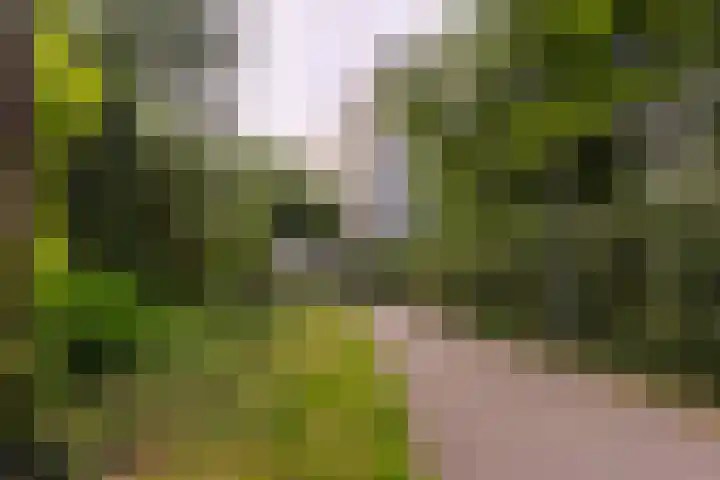 Frederik van Eedenplein 8 Eindhoven thumbnail 32