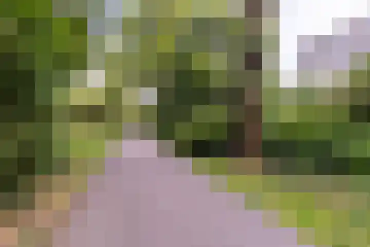Frederik van Eedenplein 8 Eindhoven thumbnail 33