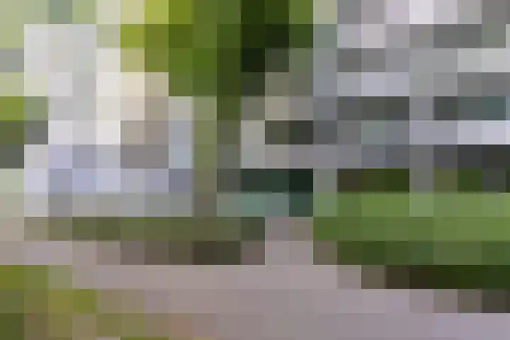 Frederik van Eedenplein 8 Eindhoven thumbnail 34