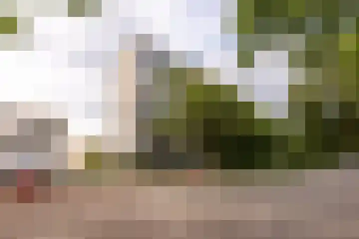 Frederik van Eedenplein 8 Eindhoven thumbnail 35