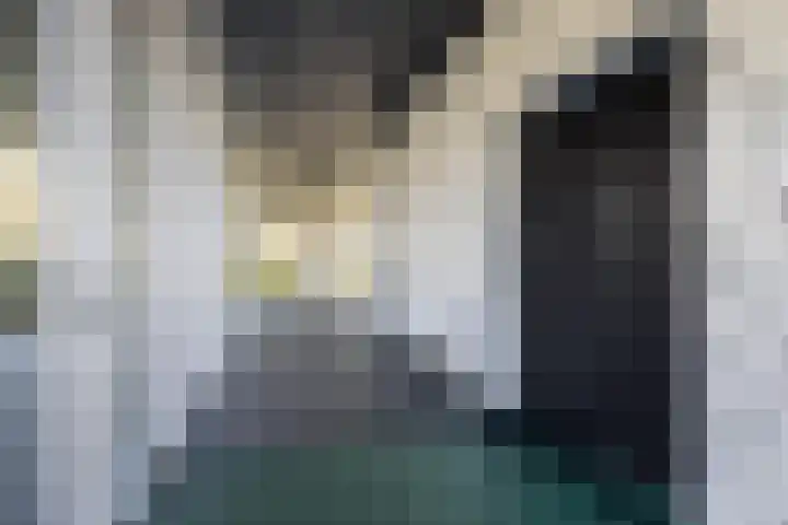 Frederik van Eedenplein 8 Eindhoven thumbnail 7