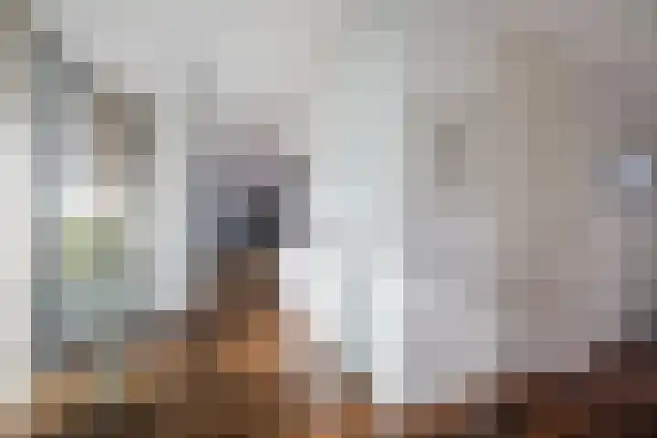 Frederik van Eedenplein 8 Eindhoven thumbnail 8