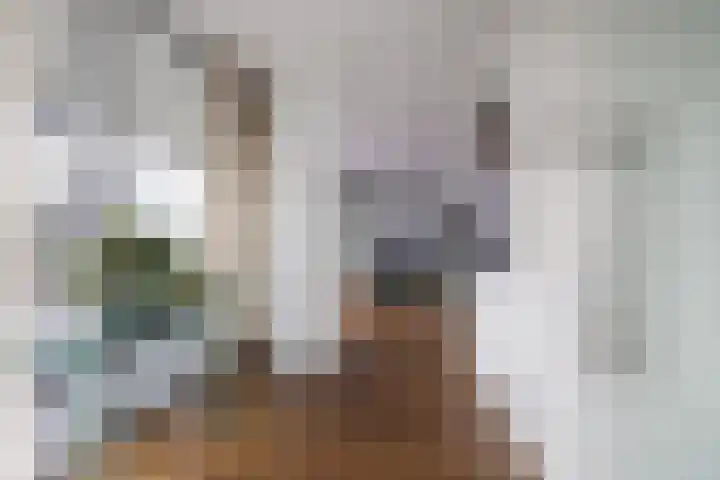 Frederik van Eedenplein 8 Eindhoven thumbnail 9