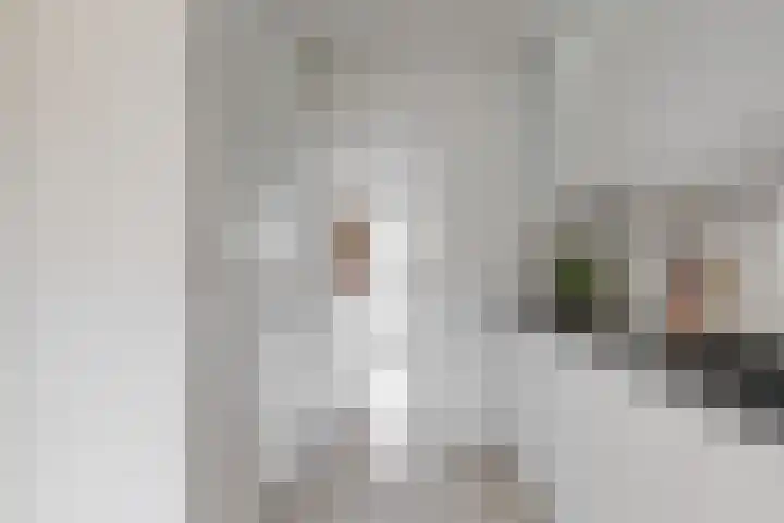 Frederik van Eedenstraat 1 Vleuten thumbnail 14