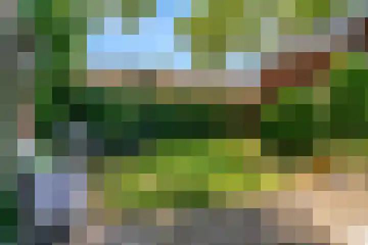 Frederik van Eedenstraat 1 Vleuten thumbnail 27