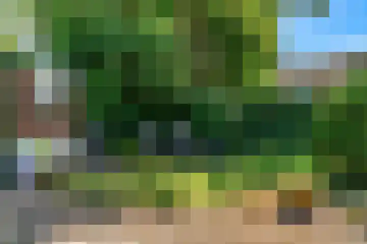 Frederik van Eedenstraat 1 Vleuten thumbnail 30