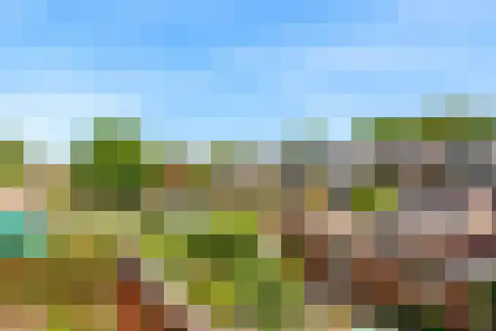 Frederik van Eedenstraat 1 Vleuten thumbnail 31