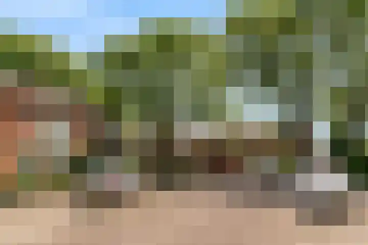 Frederik van Eedenstraat 1 Vleuten thumbnail 33