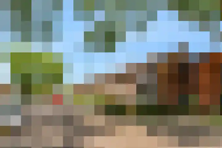 Frederik van Eedenstraat 1 Vleuten thumbnail 35