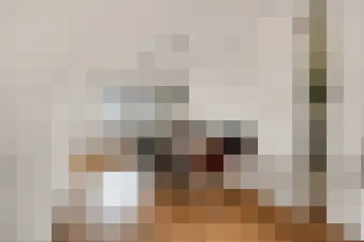 Frederik van Eedenstraat 100 Voorburg thumbnail 15
