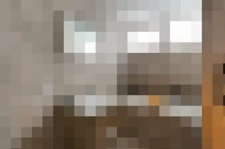 Frederik van Eedenstraat 100 Voorburg thumbnail 24