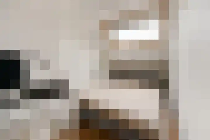 Frederik van Eedenstraat 100 Voorburg thumbnail 30